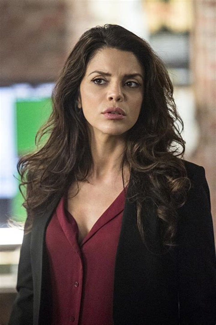 Discover The Enchanting World Of Vanessa Ferlito's Filmography