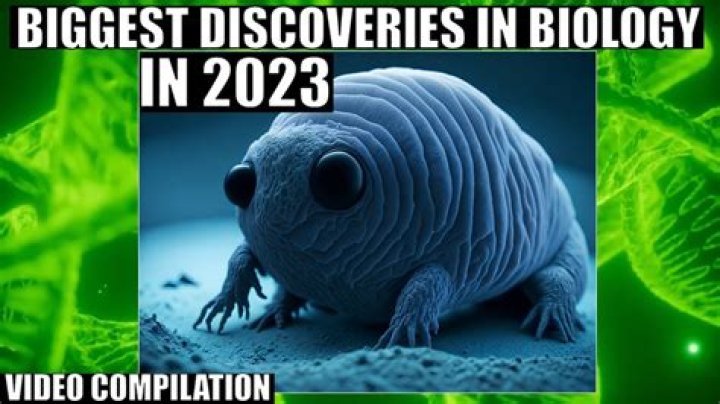 Insights And Discoveries For 2023