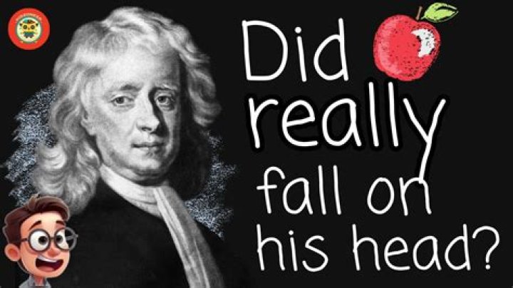 Surprising Discoveries And Life Lessons