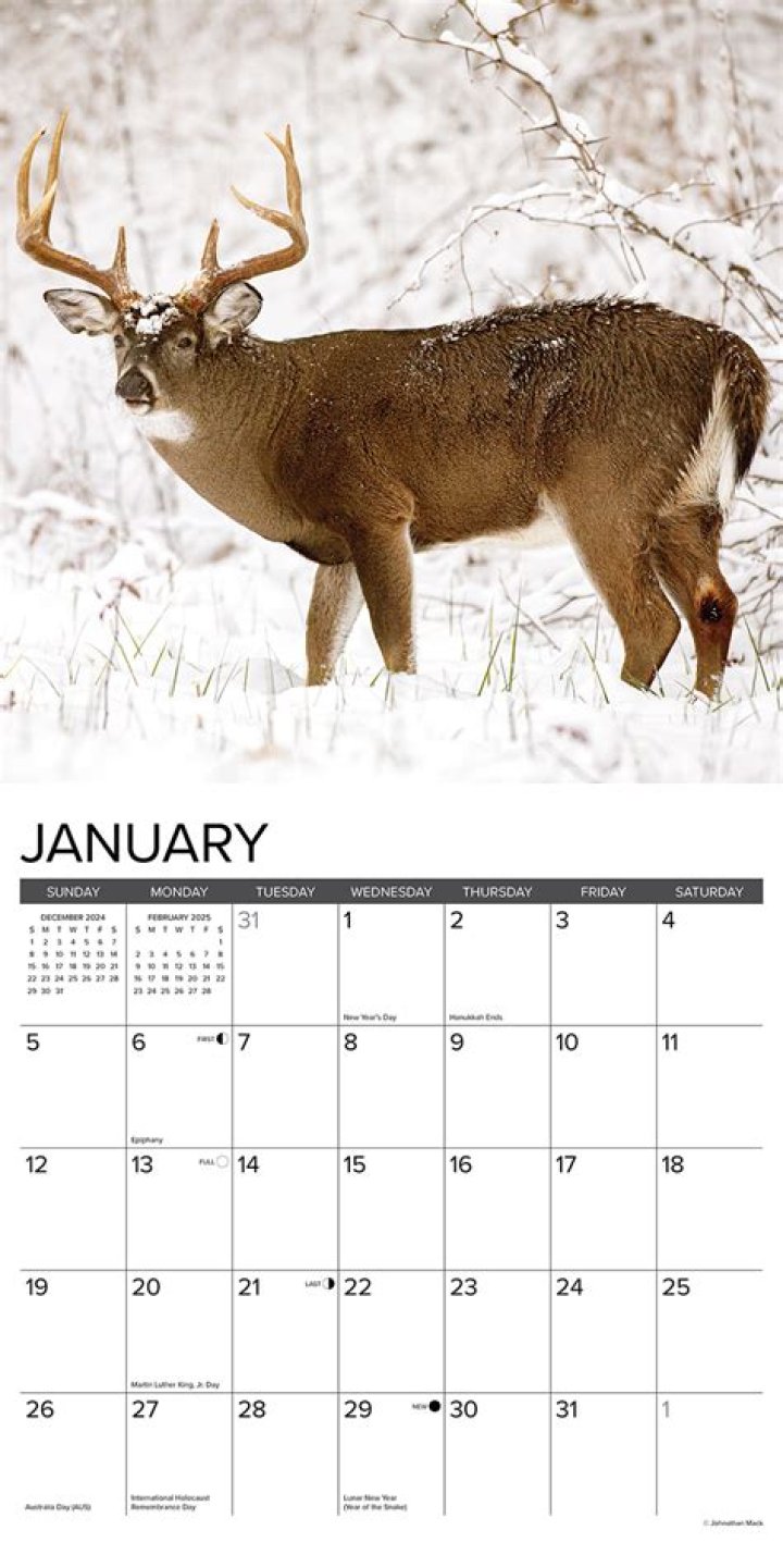 Unlocking Decades Of Wildlife Photography Mastery