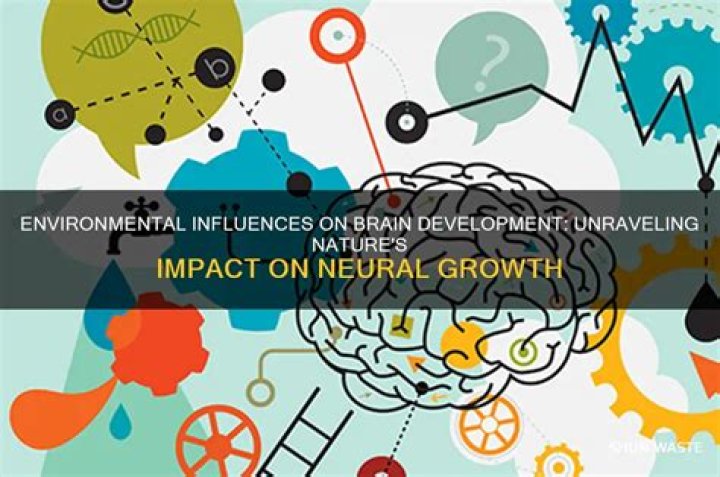 Unraveling Themes, Influences, And Impact