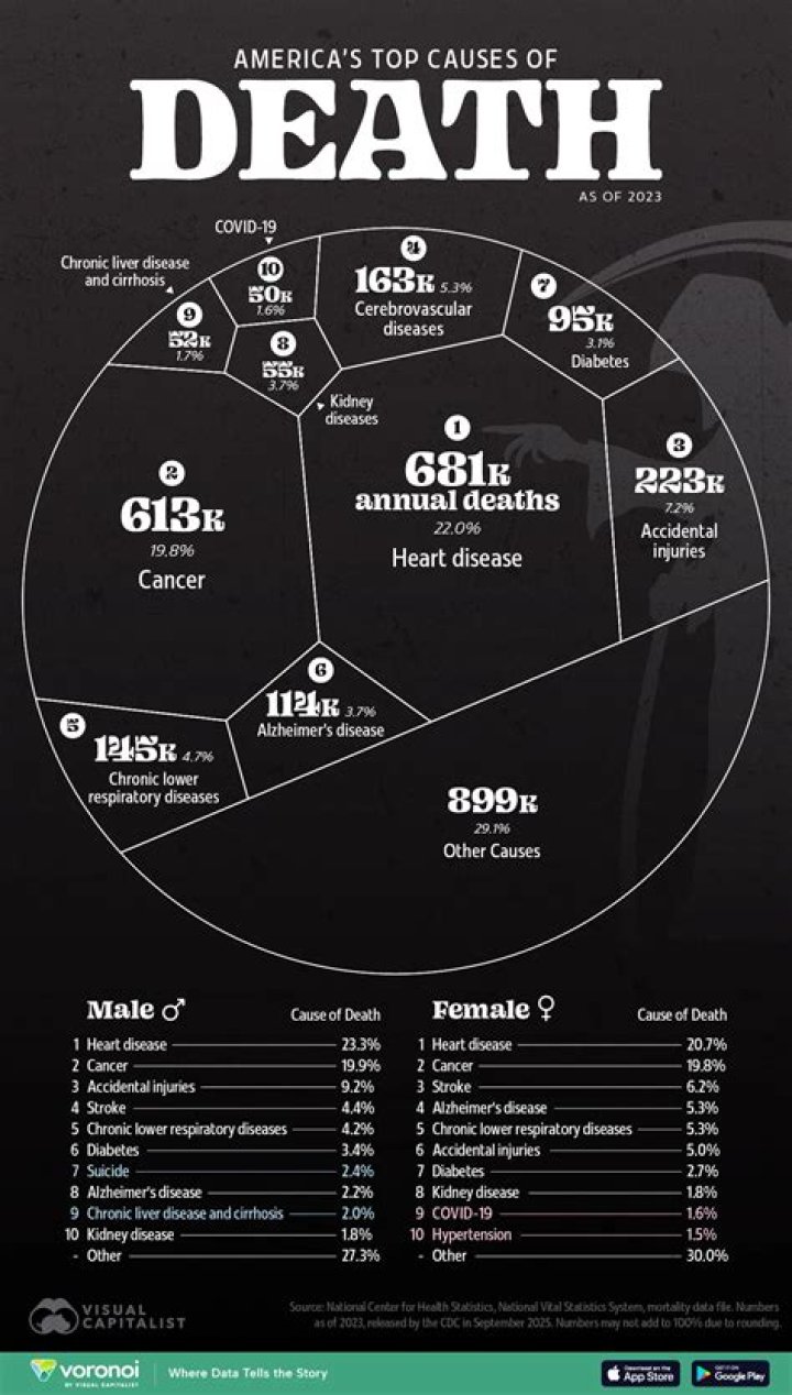 Unveiling The Leading Causes Of Death In Wyoming: Discoveries And Insights