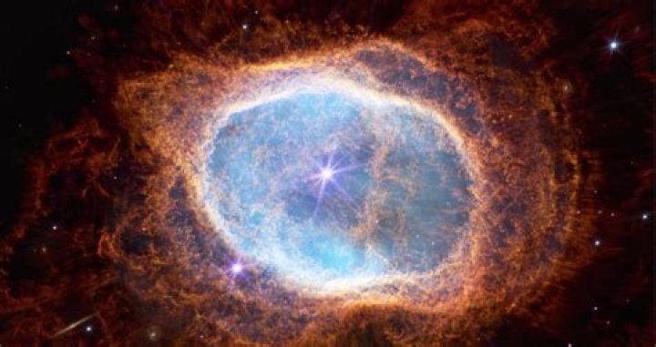 Unveiling The Lens Of Sydney Webb Eye: Discoveries And Insights